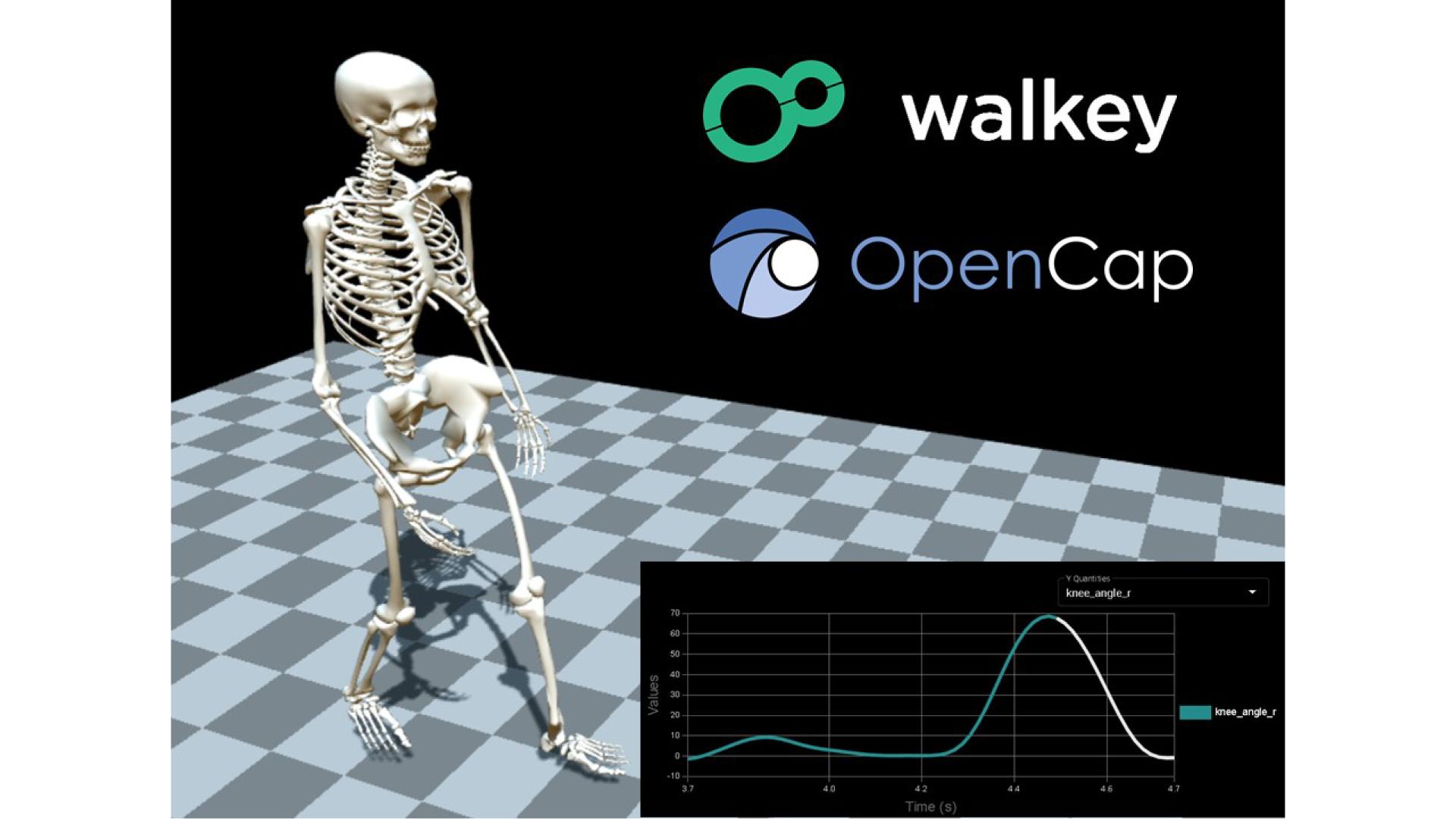 日本初！スタンフォード大と連携の walkey「歩行分析システム」が始動！